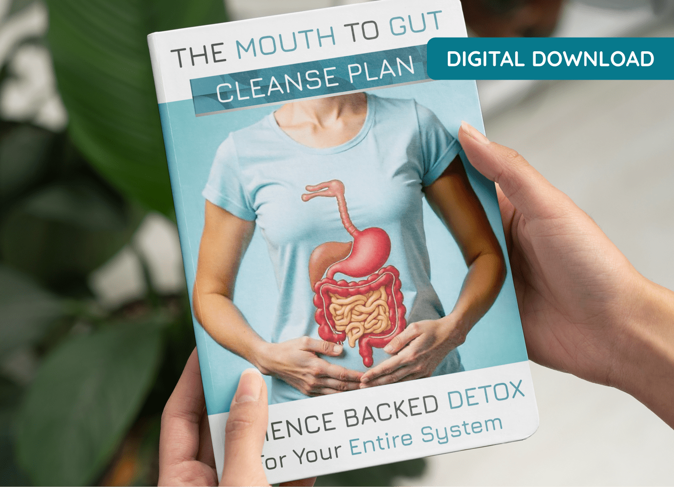 The Mouth-to-Gut Cleanse Plan: Science-Backed Detox for Your Entire System